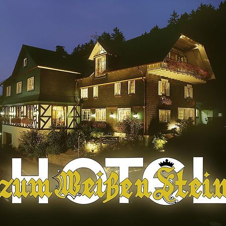 Hotel Zum Weissen Stein Kirchen  Dış mekan fotoğraf