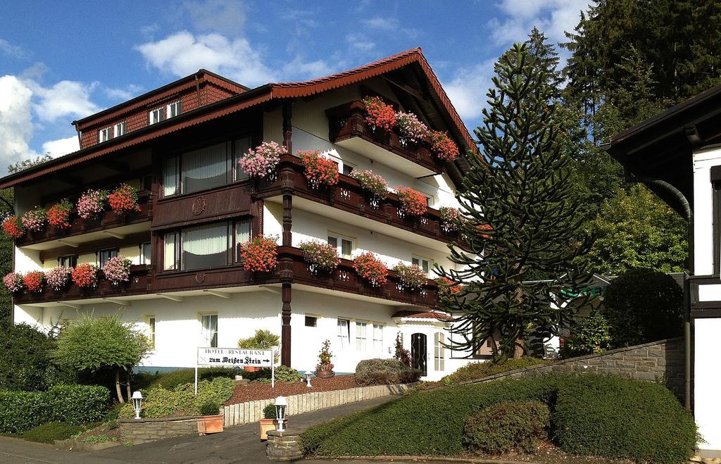 Hotel Zum Weissen Stein Kirchen  Dış mekan fotoğraf